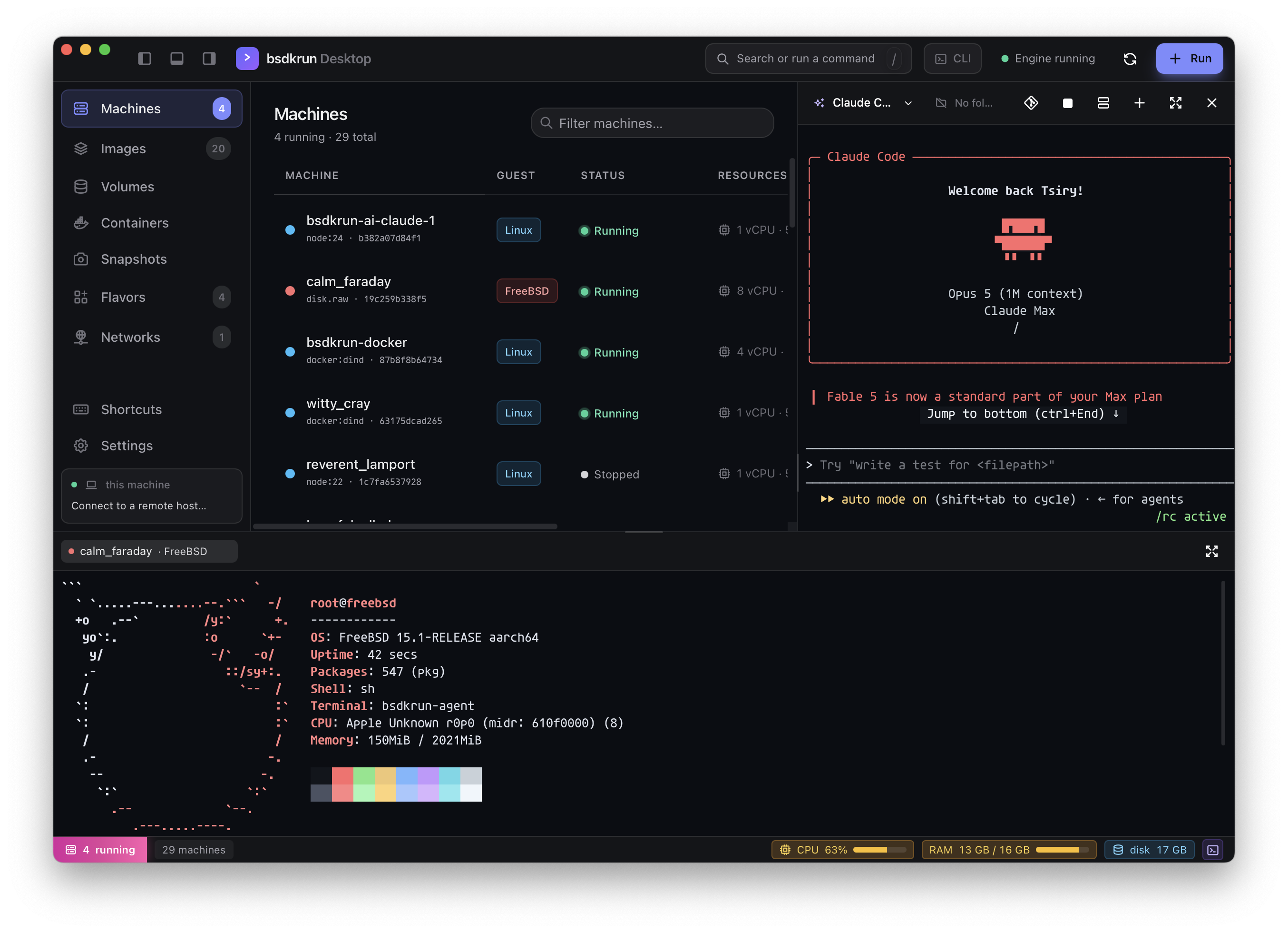 bsdkrun Desktop — machines list with a tabbed terminal panel